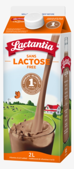 Lactantia® Lactose Free 1 % Chocolate Milk 2l - Lactose Free Skim Chocolate Milk