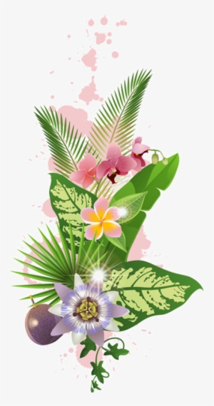 Fleurs Flores Flowers Bloemen Png Bc Pinterest - Fleurs Tropicales Png
