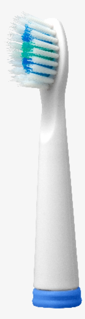 Sonic Toothbrush Head