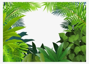 Jungle Clipart Palm Tree - Rainforest Jungle Clipart