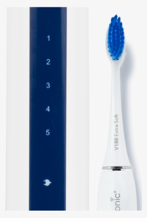 Brush Head - Toothbrush