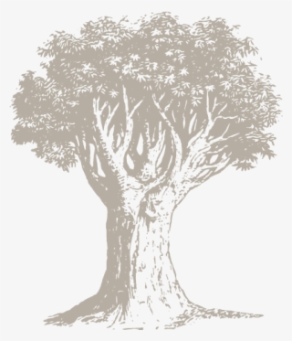 Genealogical Resources - Sketch