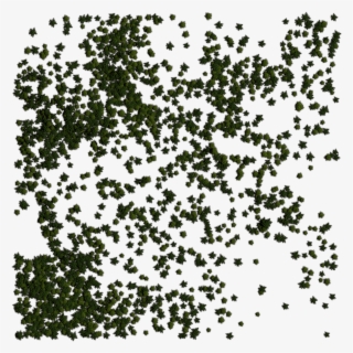 24 Mar 2009 - Illustration