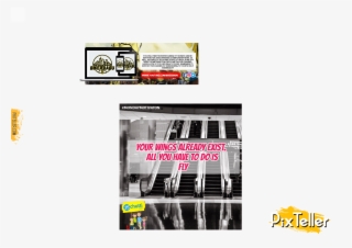 Biker Babu › Cover - Graphic Design