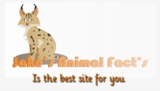 Animal Jam - Illustration