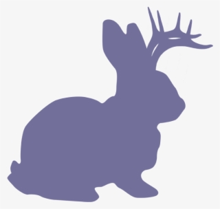 The Refinery, Tampa Florida - Bunny Silhouette