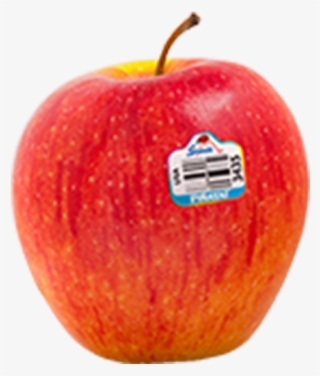 Pinata - Seedless Fruit