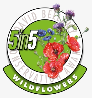 Like Borders Hideaway On Facebook - David Bellamy Award