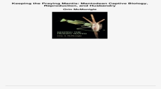 Keeping The Praying Mantis Mantodean Captive Biology - Insect