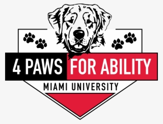 Save To Collection - Accountability Transparent