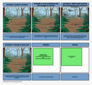 Bug Survival - Lionblaze And Cinderheart Kits