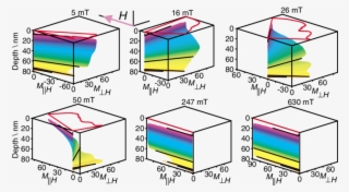 The Nife Is Shown In Purple Through Green - Diagram