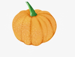 黄色南瓜新鲜水果绿色食品天然健康手绘写实 - Pumpkin