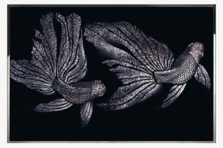 Golden Fish Visionnaire