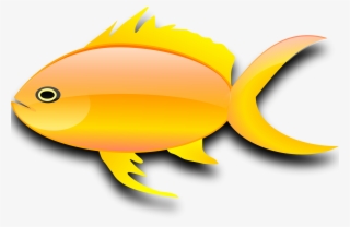 Clip Art Gold Transprent Png Free Download - Gold Fish Clip Art