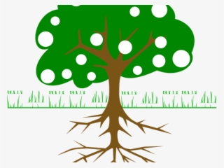 Mango Clipart Root - Tree Clip Art