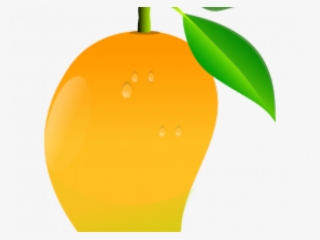 Mango Clipart Transparent Background - Mango Png