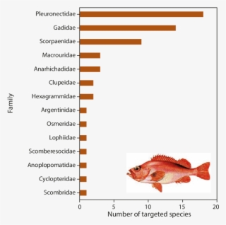 Number Of Commercially Targeted Fish Species By Family - Red Snapper