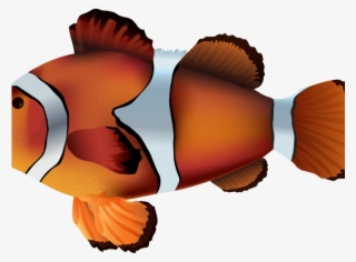 Clownfish Adorable Free On Dumielauxepices Net Onyx - Clown Fish Png