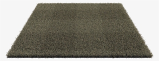 33trpfn - Carpet
