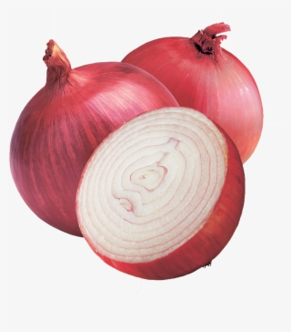 Onion Png Hd Wallpaper - Vegetable Onion