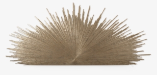 Pond Pine