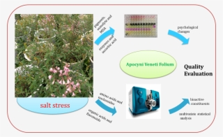 Graphical Abstract - Botanical Garden