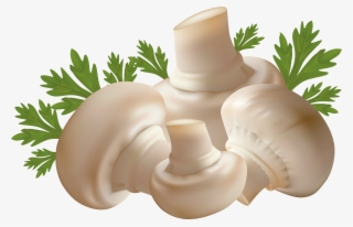 4319 X 2772 12 - Vegetables Hd Images Png