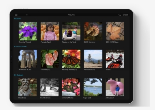 Apple's Iphones And Ipads Can Capture Images In The - Tablet Computer