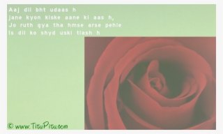 Sad Hindi Love Shayari - Shivratri & Valentine Day