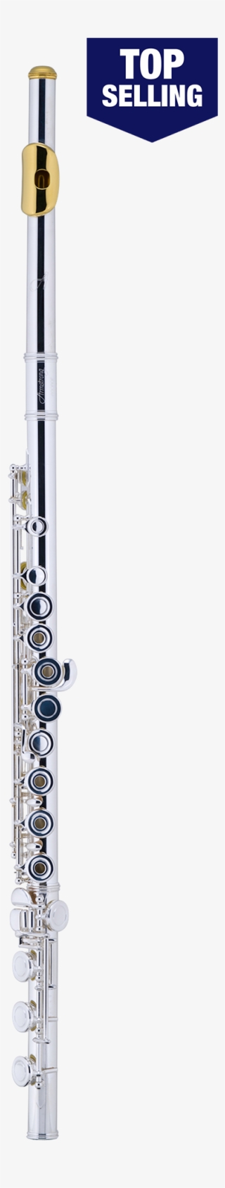 Western Concert Flute