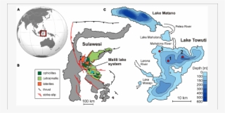 Map Of Asia And Oceania Displaying The Location Of - World Map Acrylic Painting Grunge