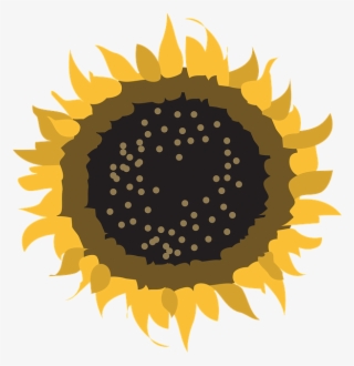 Flower, Symbol, Sun, Nature, Design, Sign, Natural - Vector Graphics