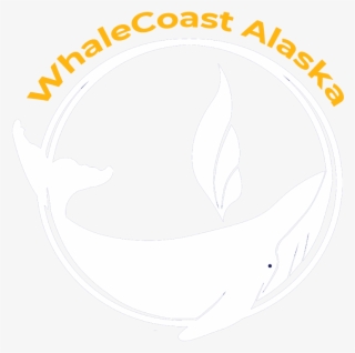 Contact Us - Illustration