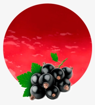 Blackcurrant Pomace - Black Currant Fruit Png