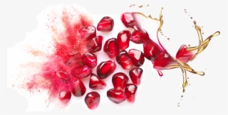 Bulk Supply & Manufacture Of Pomegranate Seed Oil & - Pomegranate Seed Oil Png