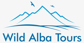 Wild Alba Tours - Free Bird