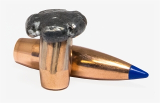 Bullet - Norma Bondstrike