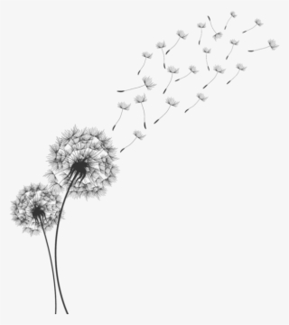 672 X 671 5 - Diente De Leon Dibujo