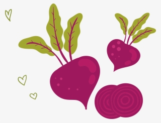 1135 X 872 5 - Kawaii Radish Transparent Background