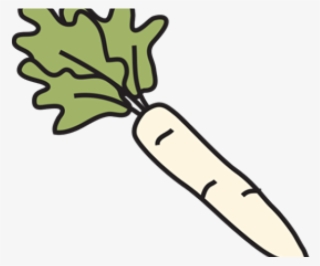 Radish Clipart