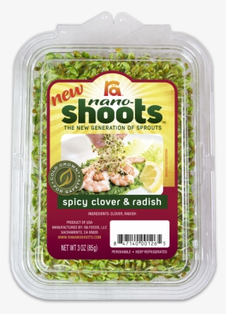 Categories - Spicy Sprouts