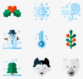 Winter Nature