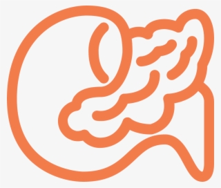 Pancreas Ecm Cell Culture Substrates - Illustration