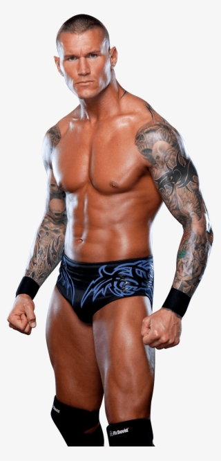 Download - Wrestler