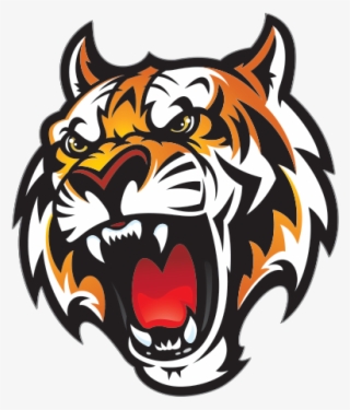 Tiger Head Png - Fleetwood High School Mascot