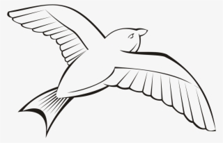Bird In Flight 6 - Outline Image Of Bird