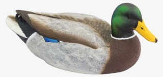 Livecraft Floating Mallards Duck Decoys Final Approach - Mallard