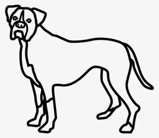 Boxer Dog - Great Dane