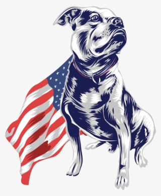 2083 X 2455 1 - Boxer